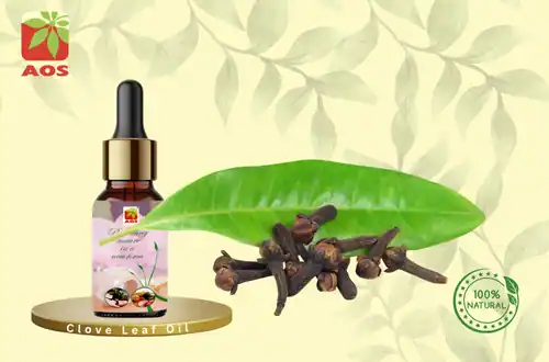 Clove Leaf Oil