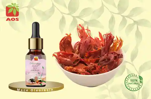Mace Oleoresin