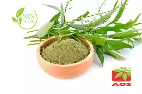 Andrographis Paniculata Extract