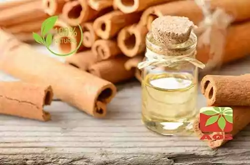 Cinnamon Bark Oil Manufacturers India - AOS Products