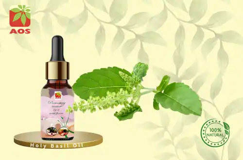 Holy Basil Oil