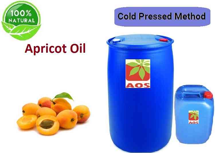 Apricot Oil Uses, Benefits, Extraction Process of Apricot Oil