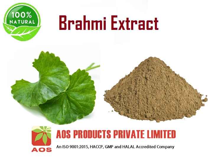 Brahmi Extract Uses, Benefits, Properties of Brahmi Extract