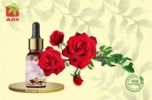 Rose Oil