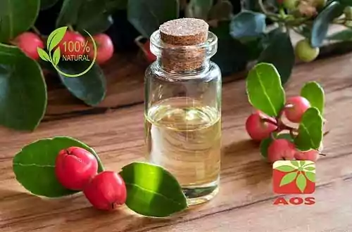 Wintergreen Oil