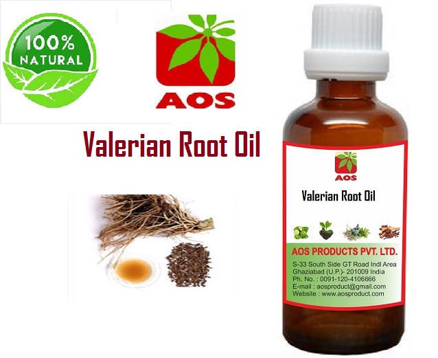 4 Uses of Valerian Root Oil, Health Benefits for Headaches and anxiety