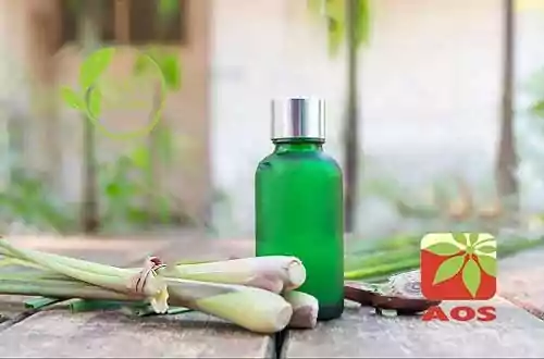 Ginger Grass Oil