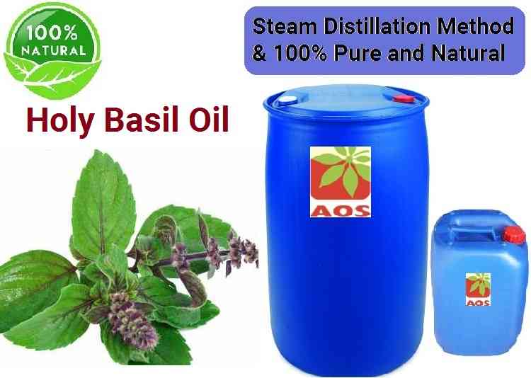 Holy Basil Oil Uses, Benefits and Properties of Essential Oil