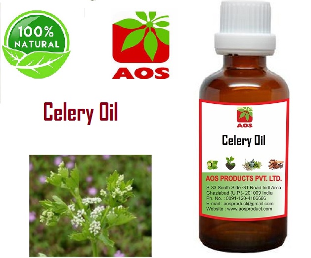 Excellent Uses and Benefits of Celery Seed Oil Best Manufacturers