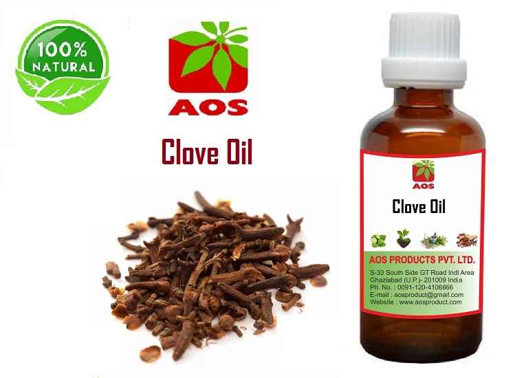6 Health Benefits and Uses of Clove Oil for Toothache Wholesale Price