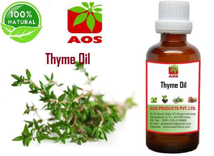 20 Surprising Uses, Benefits of Thyme Oil for Hair Unique Manufacturer