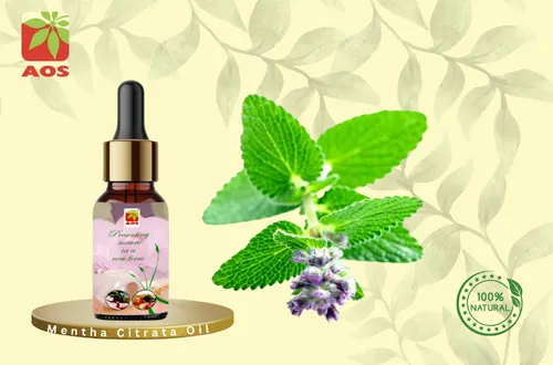Mentha Citrata Oil
