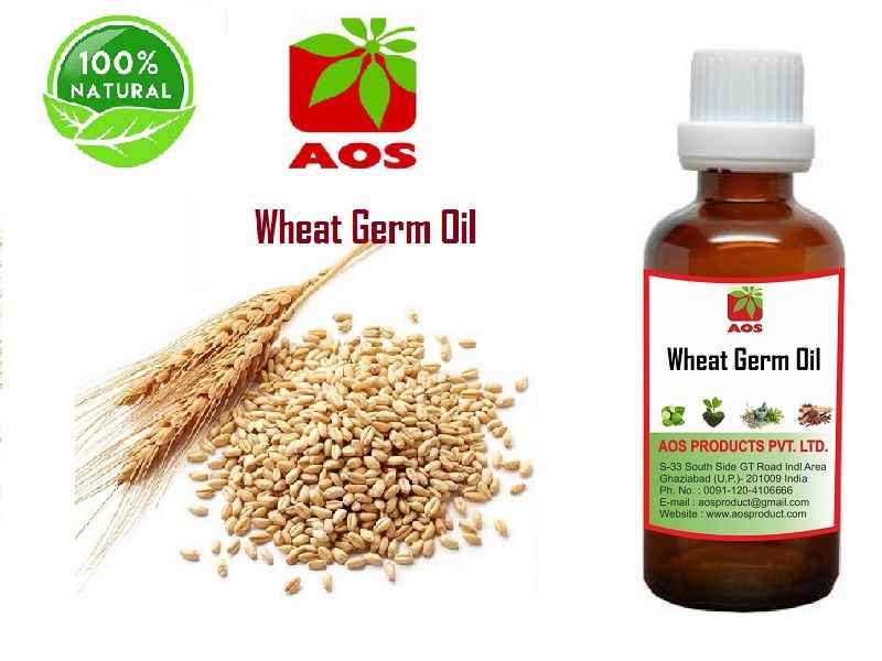 5 Amazing Uses of Wheat germ Oil BP, USP, Benefits in ...