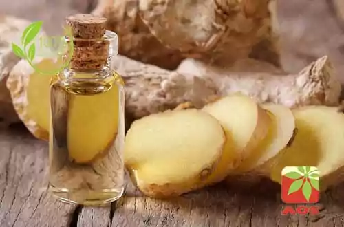 Ginger Oil