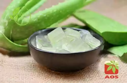 Colorless Aloe Vera Gel