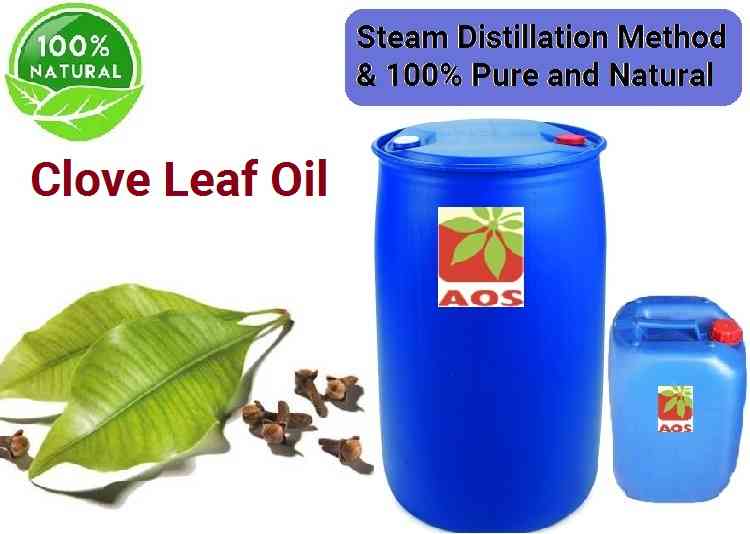 Clove Leaf Oil Uses, Benefits, Properties of Clove Leaf Oil
