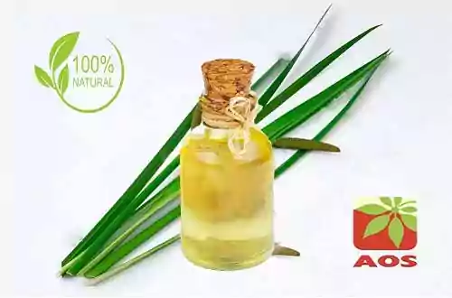 Calamus Oil