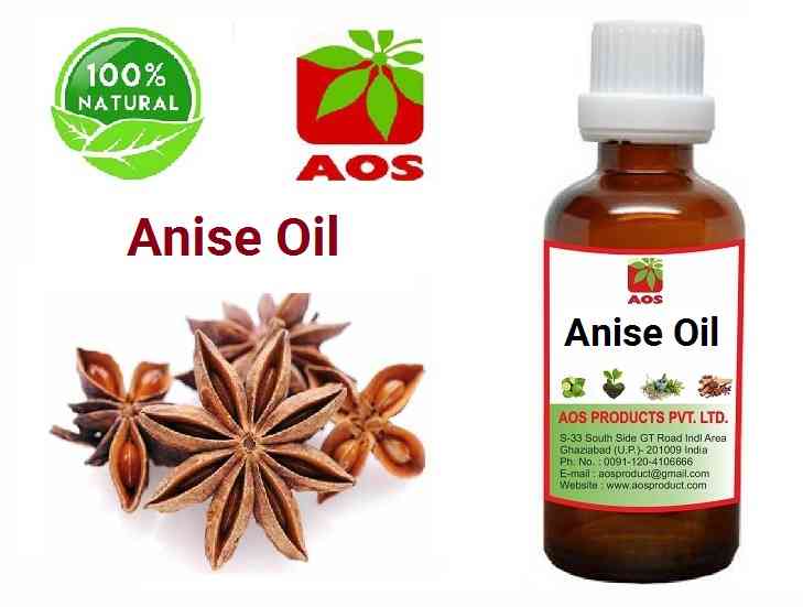 12 Uses and Benefits of Anise Oil Wholesale Manufacturers