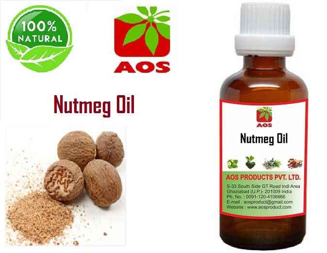 7 Proven Uses and Benefits of Nutmeg oil Manufacturer AOS products
