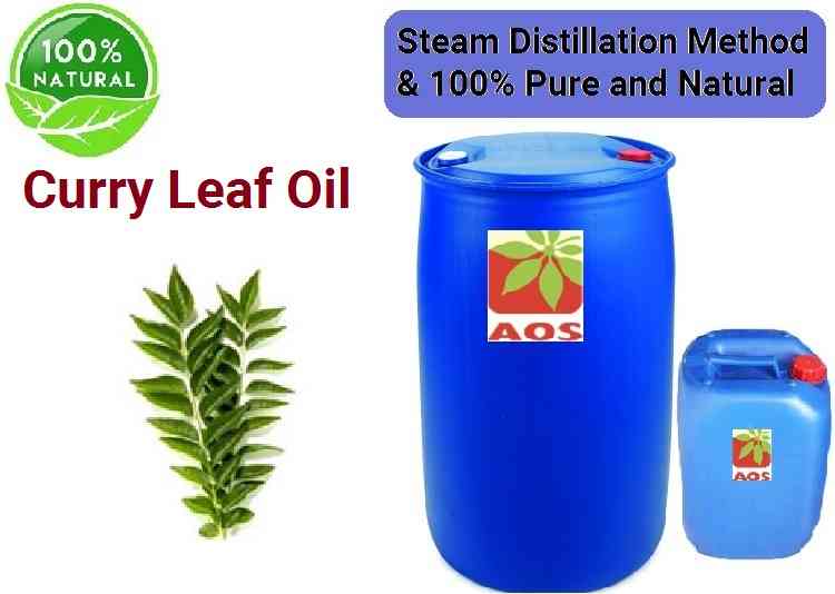 Curry Leaf Oil Uses, Benefits, Properties of Aromatherapy Oil