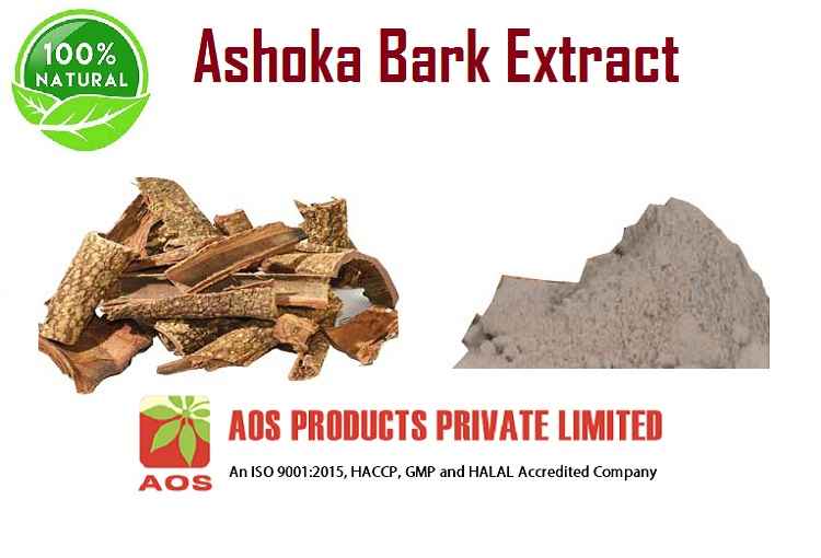 Ashoka Bark Extract Uses, Benefits and Properties