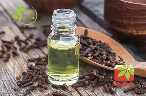 Clove Oil