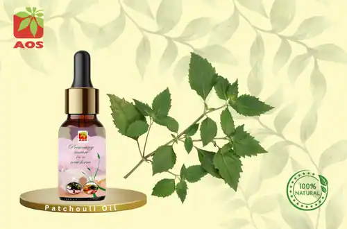 Patchouli Oil