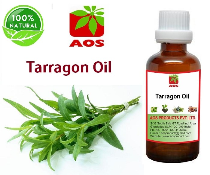 6 Amazing Health Benefits and uses Tarragon Oil AOS Products