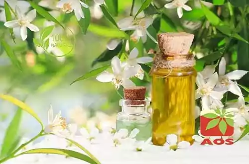 Neroli oil sales