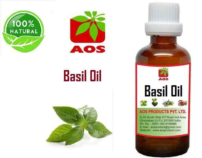15 Unique Uses, Benefits of Basil Oil for stress, Tension Manufacturers