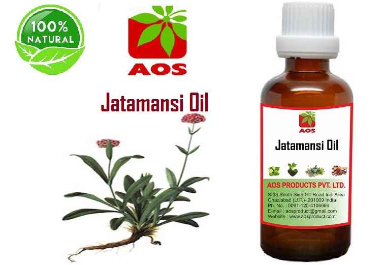 7 Proven Uses, Benefits of Jatamansi Oil in Sleep, Hair Manufacturer