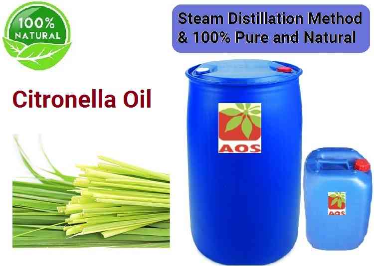 Citronella Oil Uses, Benefits and Properties of Essential Oil