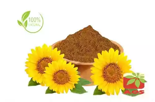 Sunflower Seed Extract