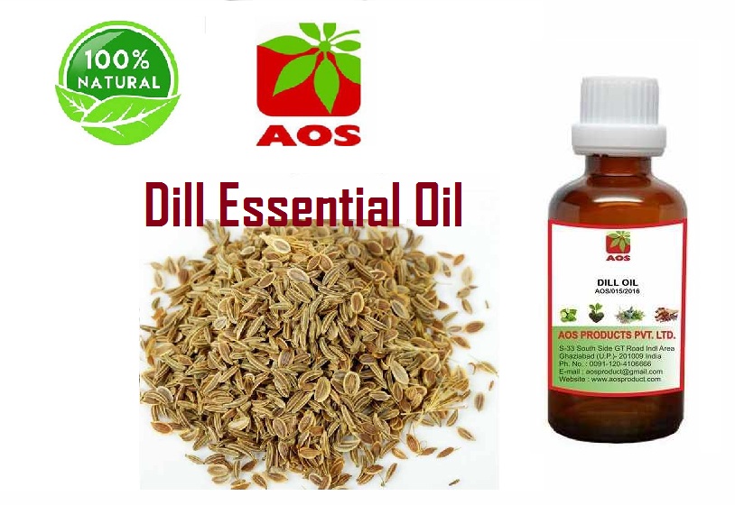 10 Health uses and benefits of Dill seed Oil IP/BP for Infants, Cooking