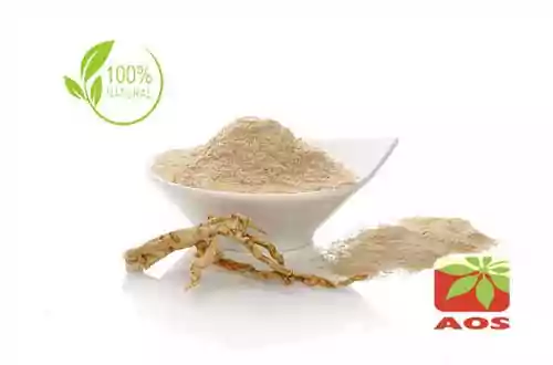 Panax Ginseng Extract