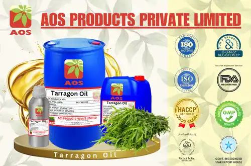 Tarragon Oil