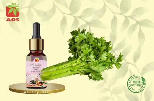 Celery Oil