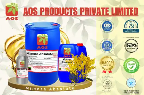Mimosa Absolute