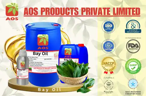 Bay Oil