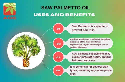Saw Palmetto Oil