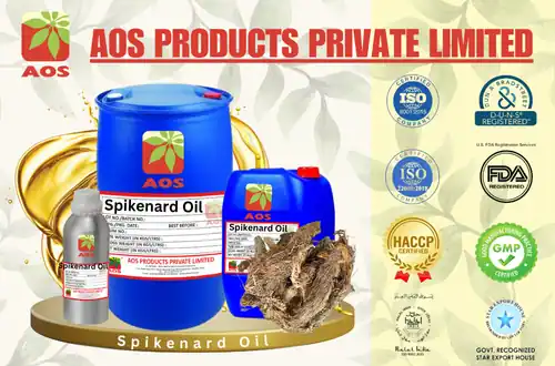 Spikenard Oil