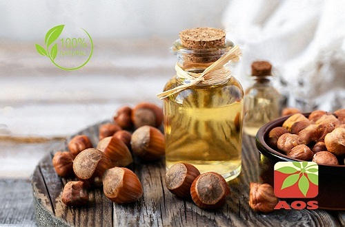 Hazelnut Oil Uses Benefits Aos Products Manufacturer