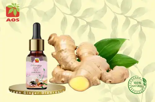 Green Ginger Oleoresin