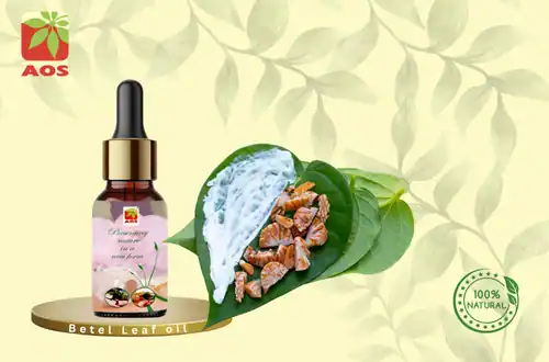 Betel Leaf oil