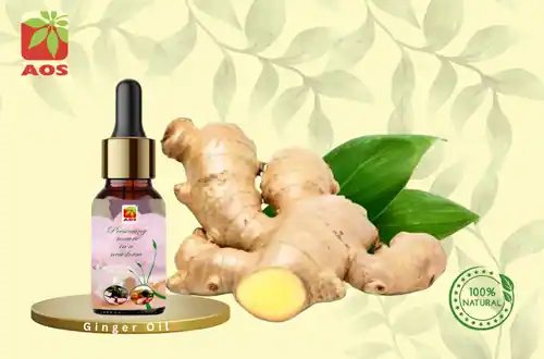 Ginger Oil