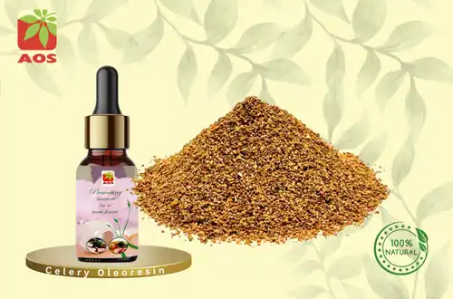 Celery Oleoresin