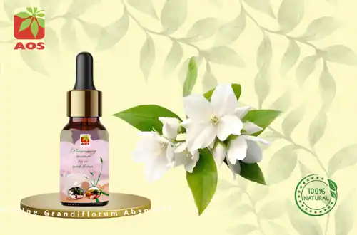 Jasmine Grandiflorum Absolute