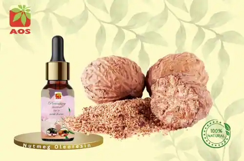 Nutmeg Oleoresin
