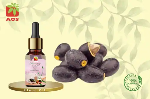Elemi Oil