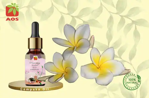 Cempaka Oil